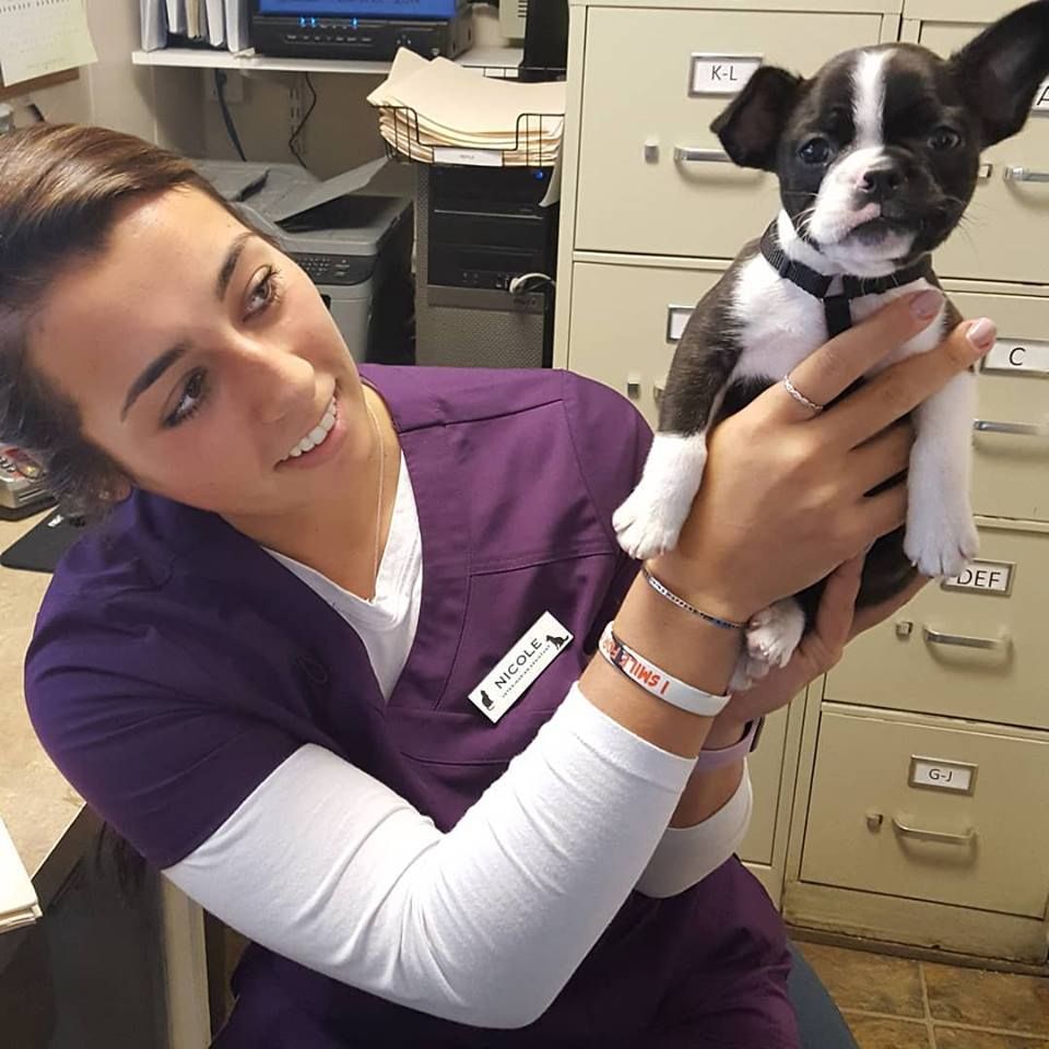 Denville Animal Hospital Staff with Puppy