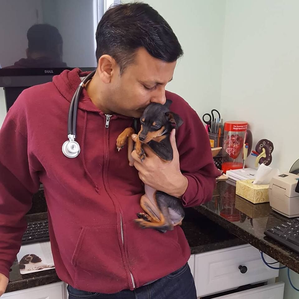 Dr Reddy taking care of dog