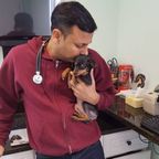 Dr Reddy taking care of dog