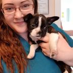 Denville Animal Hospital Staff and Puppy