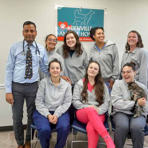 118400632_33383375197246615_7664855424892176594_o