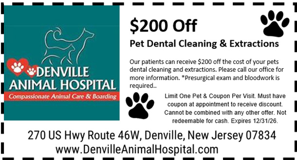 $200 off on pet dental cleaning & extractions.